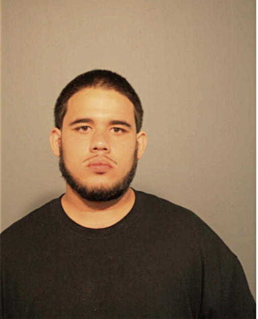 ANTHONY W BOOKER, Cook County, Illinois