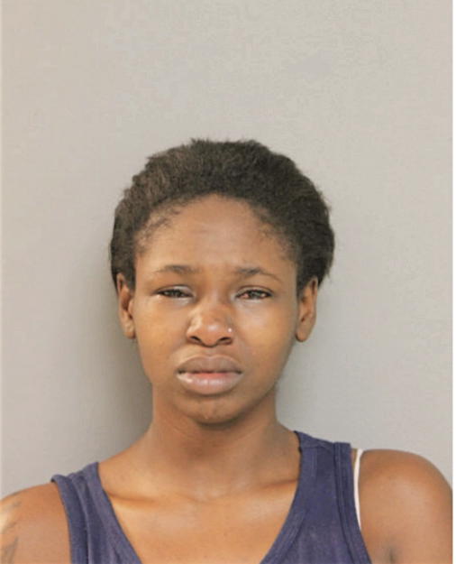 TERRI N BRADBERRY-KYLE, Cook County, Illinois