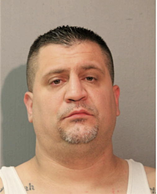 CHRISTOPHER N BULSKI, Cook County, Illinois