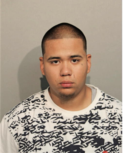 OSVALDO ESTRADA, Cook County, Illinois