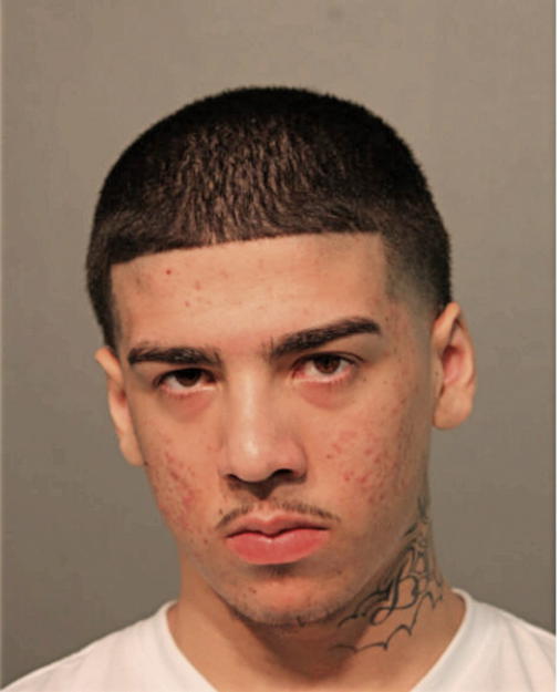 CARLOS E FIGUEROA, Cook County, Illinois