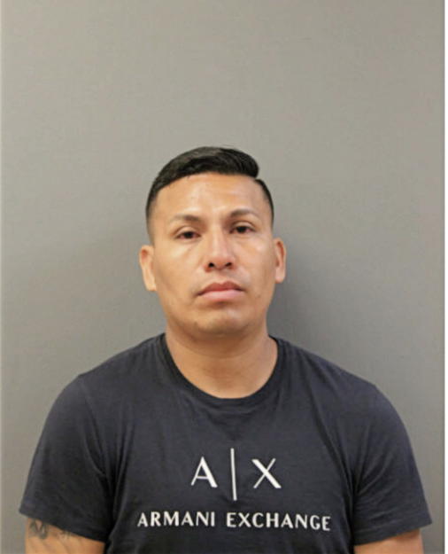 MIGUEL A FIGUEROA-RAMIREZ, Cook County, Illinois
