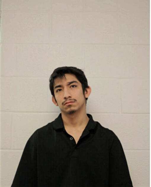 JULIO FLORES, Cook County, Illinois