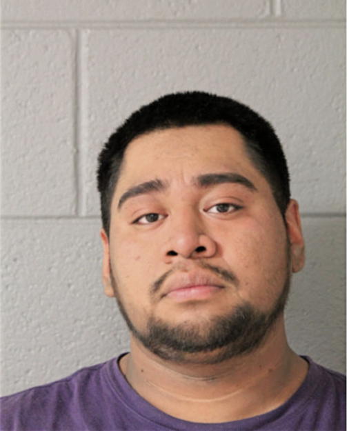 JOVANY A GALICIA, Cook County, Illinois