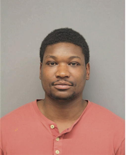 DAVID M HAMILTON, Cook County, Illinois