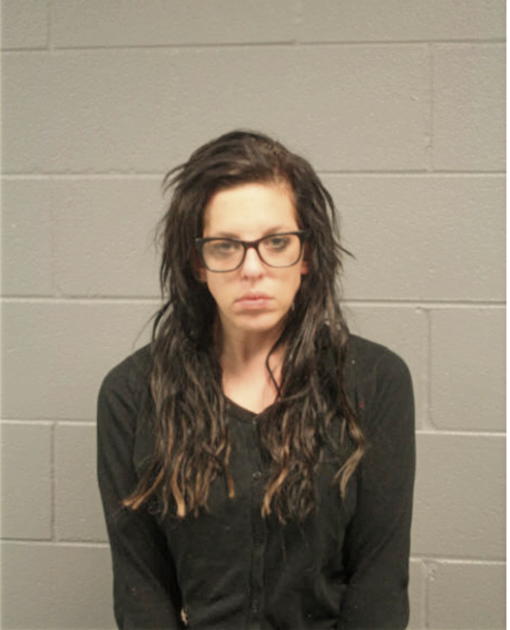 LIZABETH P HARRIS, Cook County, Illinois