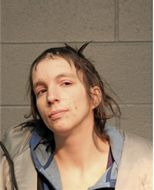 STEFFANY L HOLLAND, Cook County, Illinois