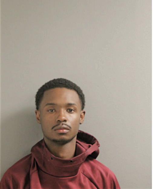 WILLIAM J HOUSTON, Cook County, Illinois