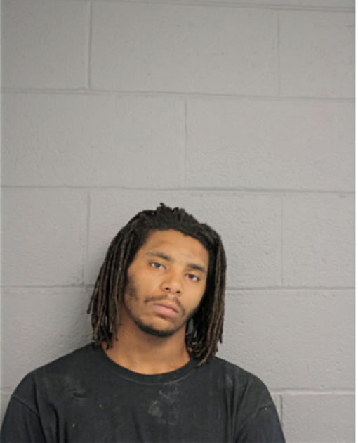CHRISTIAN T LANDON, Cook County, Illinois