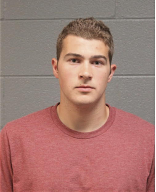 JOHN T LIZZO, Cook County, Illinois