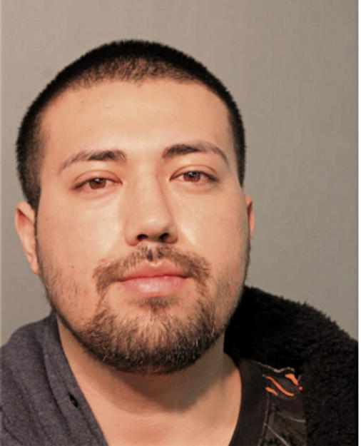 JOEL LOERA, Cook County, Illinois