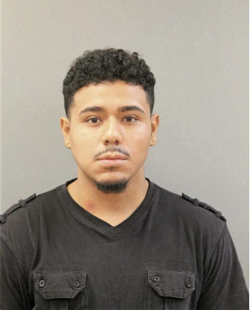 HECTOR L PAVON-HERNANDEZ, Cook County, Illinois