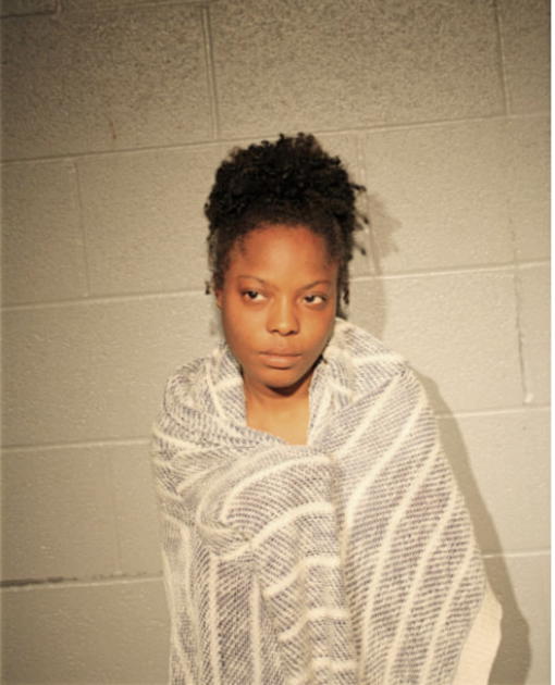 DENAE L PINKINS, Cook County, Illinois