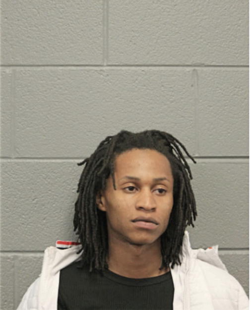 MICHAEL A REED, Cook County, Illinois