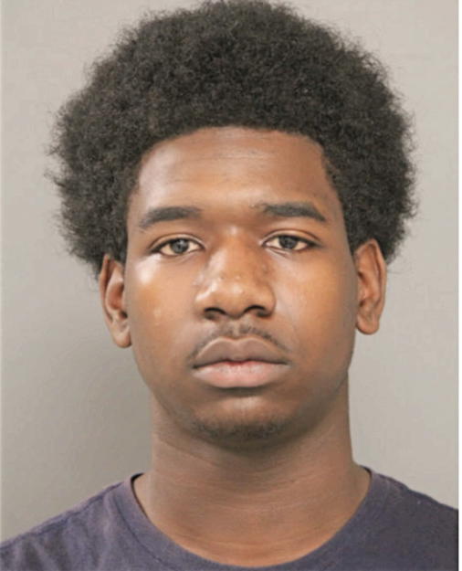 TYRONE L RICHARDSON, Cook County, Illinois