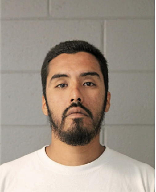 FIDEL ROMERO, Cook County, Illinois