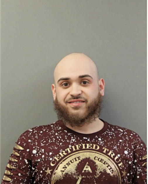 CARLOS A RUIZ, Cook County, Illinois