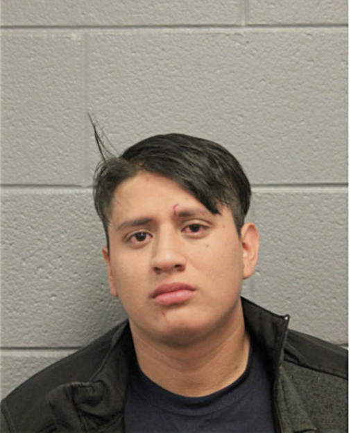 LUIS A SANCHEZ, Cook County, Illinois