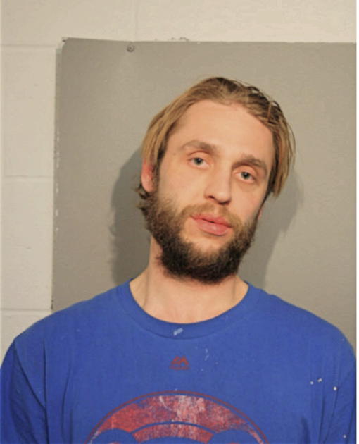 PATRICK S SULLIVAN, Cook County, Illinois