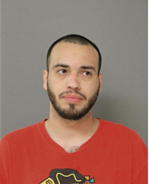 ANGEL L TORRES, Cook County, Illinois