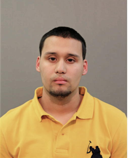 IVAN M VILLASENOR, Cook County, Illinois