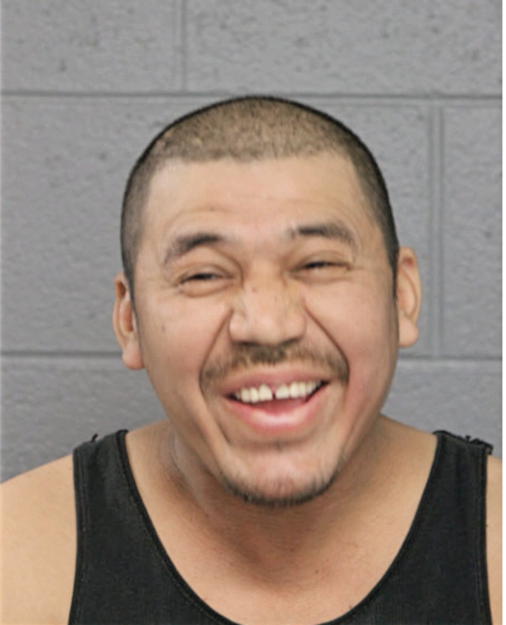 JOSE L YANEZ, Cook County, Illinois