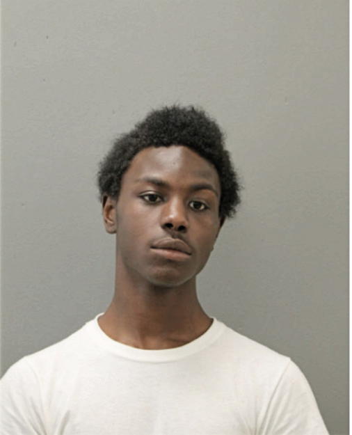 JAMONTAE YOUNG, Cook County, Illinois