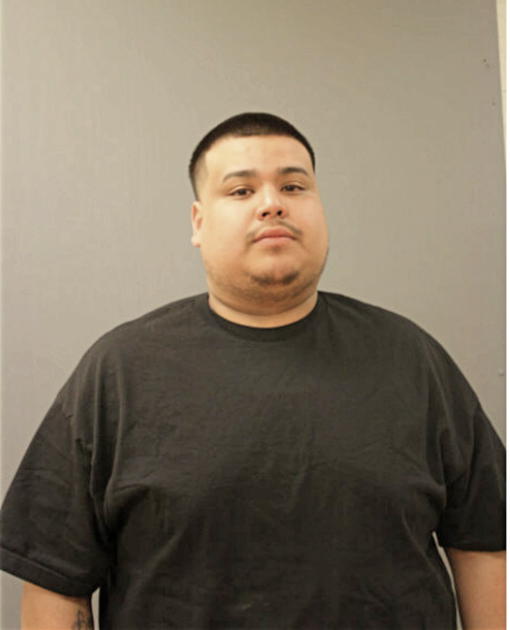 JOCSAN ZETINA, Cook County, Illinois