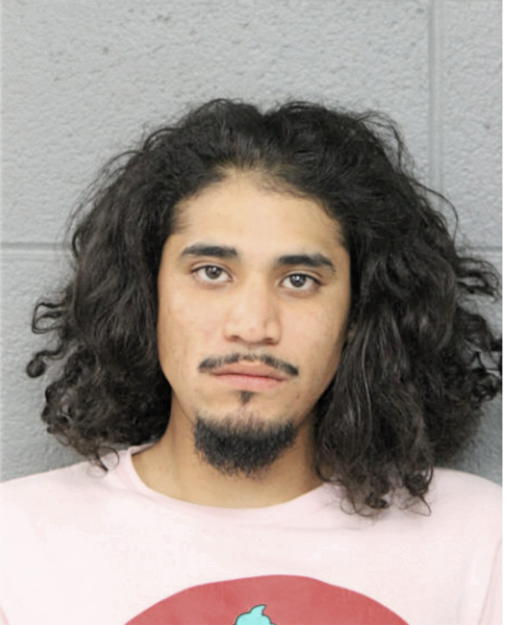 SERVANDO GUADALUPE ALVAREZ, Cook County, Illinois