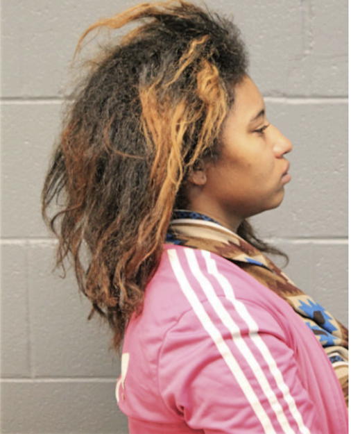 VENUS BAKER, Cook County, Illinois