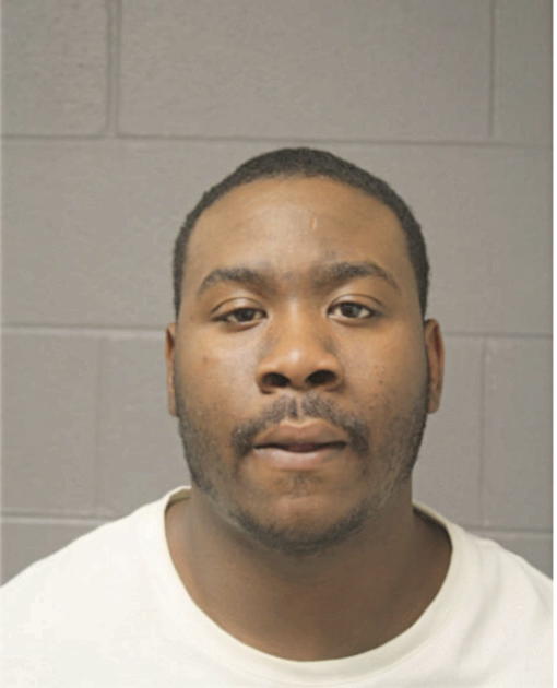 MICHAEL T CURTIS, Cook County, Illinois