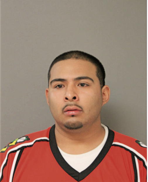DARWIN DELAROSA, Cook County, Illinois