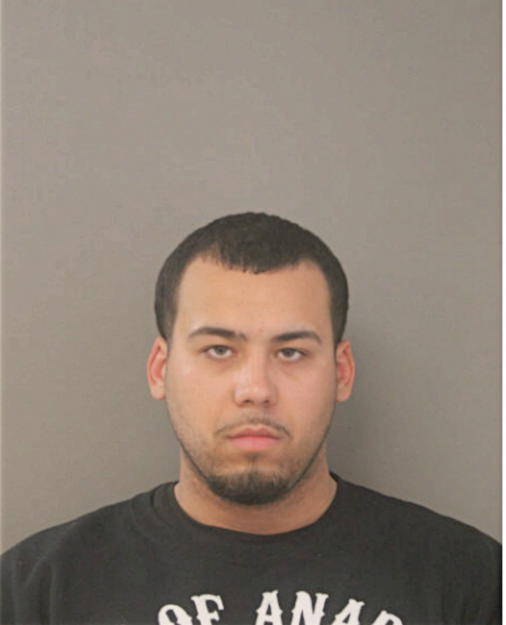 SAMUEL A FLORES, Cook County, Illinois