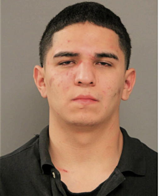 JOB G GARCIA, Cook County, Illinois