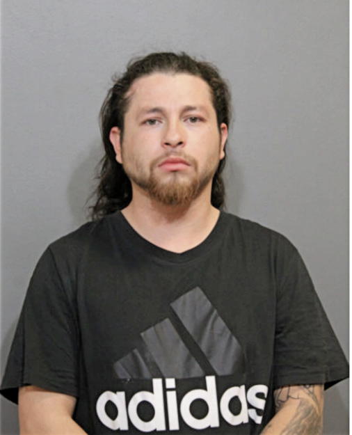 LLOVANI GOMEZ, Cook County, Illinois