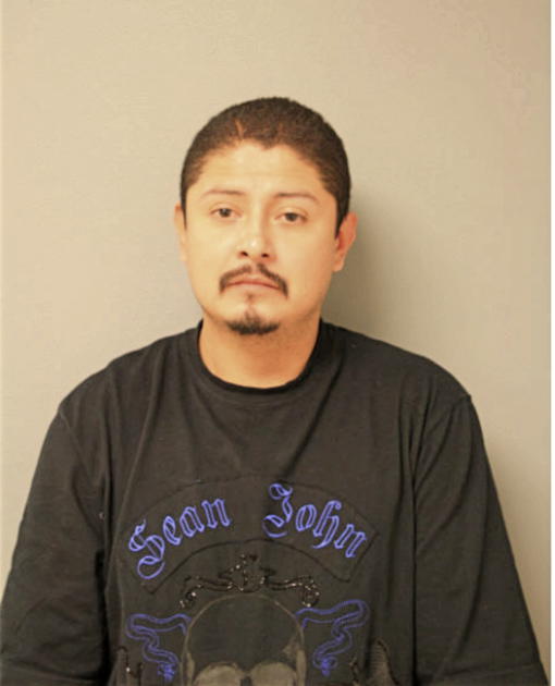 CESAR GONZALEZ, Cook County, Illinois