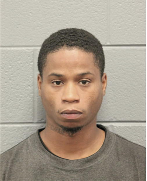 TRAVIS T HORTON, Cook County, Illinois