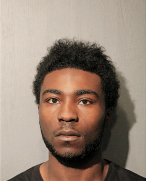 LARAYSHEO D JOHNSON, Cook County, Illinois
