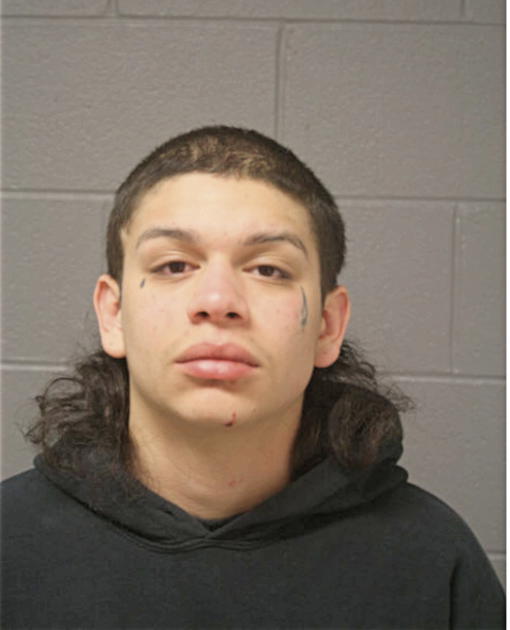 JORGE I LINDO, Cook County, Illinois