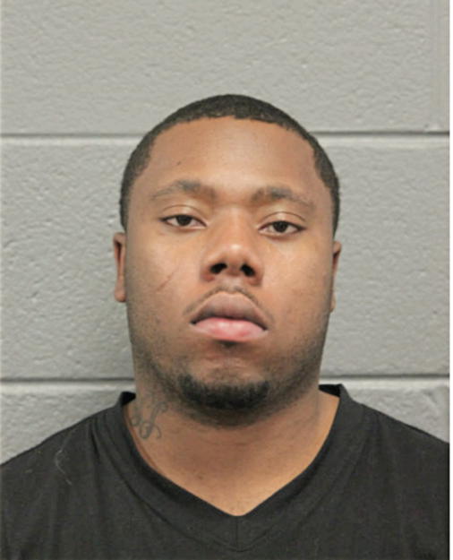 ERIC L PERRY, Cook County, Illinois