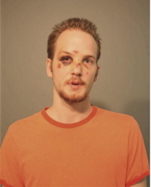 MATTHEW D WILKISON, Cook County, Illinois