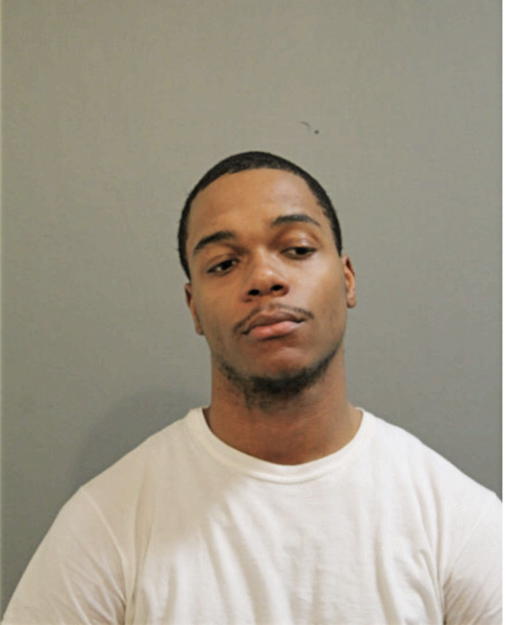 MIKHAEL J WILLIAMS, Cook County, Illinois