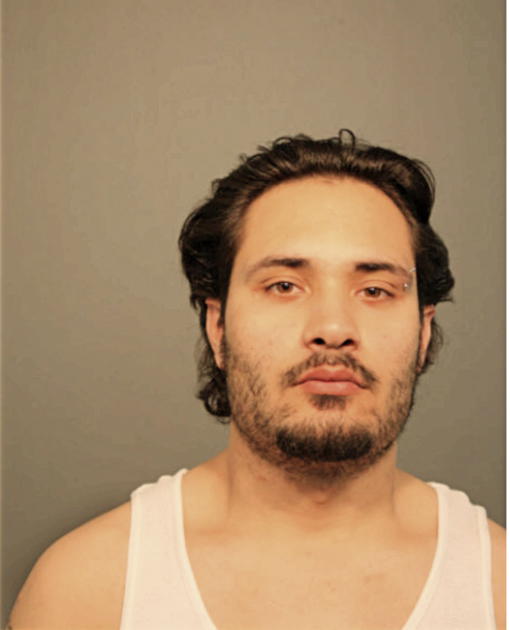HERBERT M ALONZO, Cook County, Illinois