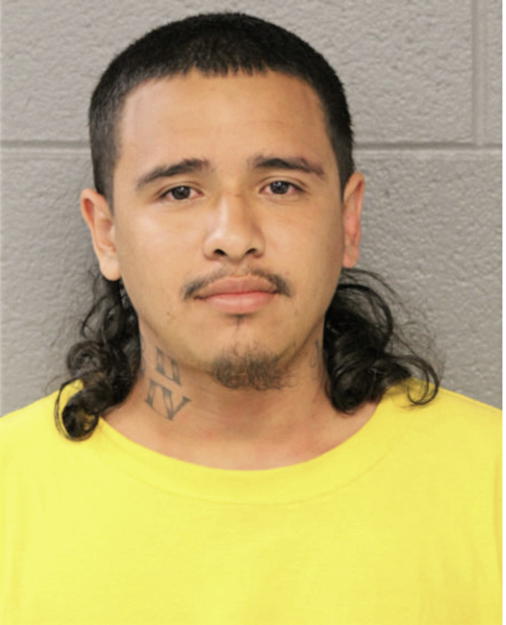 JESSE V ALVAREZ, Cook County, Illinois