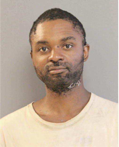 DAVID ANDERSON, Cook County, Illinois