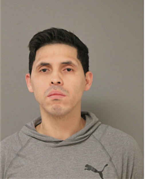 MARKIOS S BOLANOS, Cook County, Illinois