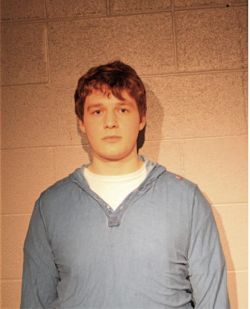 BRADLEY A BORGIA, Cook County, Illinois