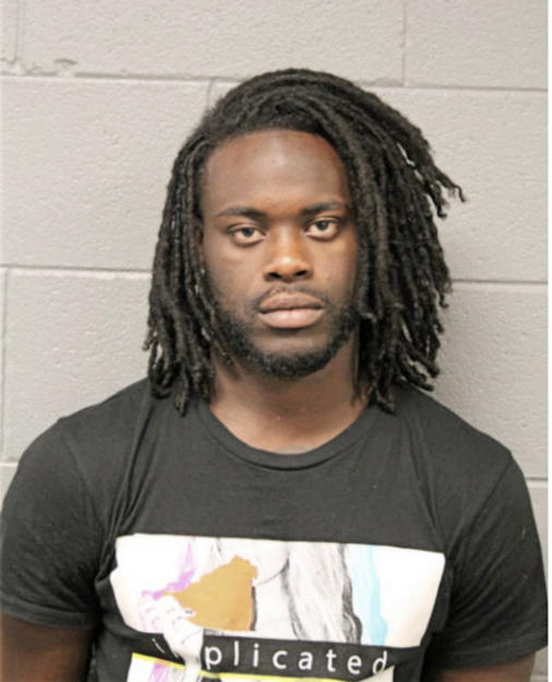 DIAMOND J CHEW, Cook County, Illinois