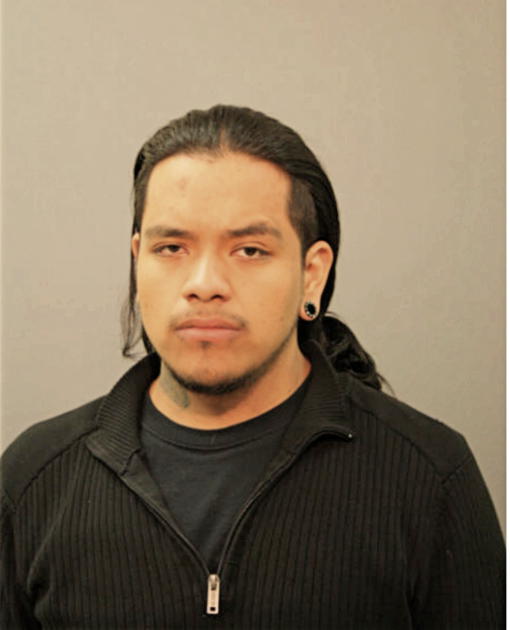 JOSE E DELACRUZ, Cook County, Illinois