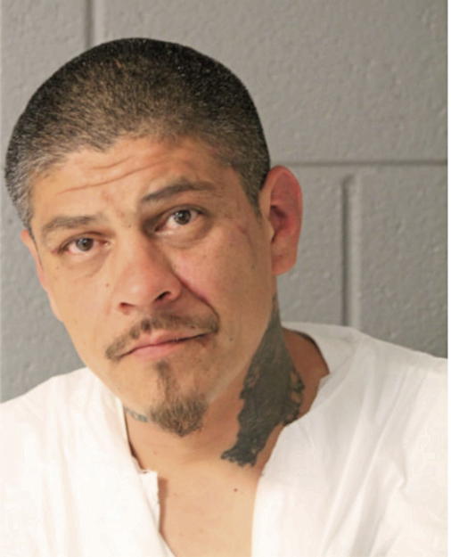 ROGELIO DOMINGUEZ, Cook County, Illinois